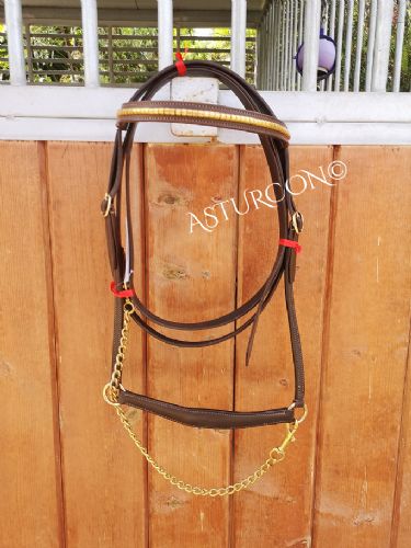 Decorated Presentation Halter & Lead